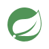 springboot