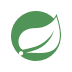 springboot